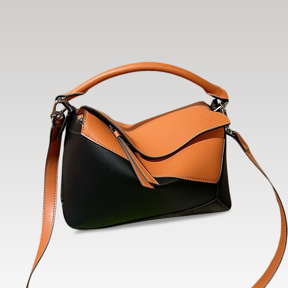 Roewe\'s color-blocked geometric bag